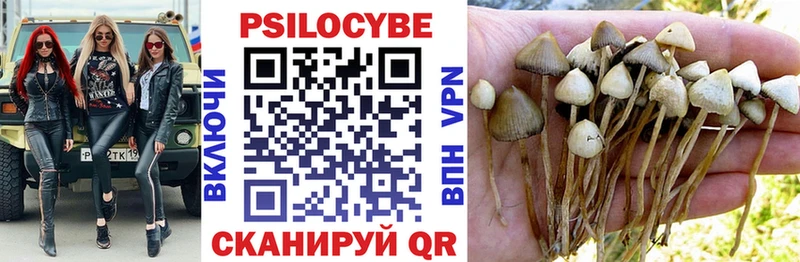 Псилоцибиновые грибы GOLDEN TEACHER  Славск 